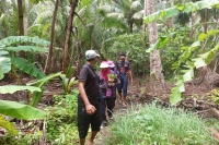 Island Hopping